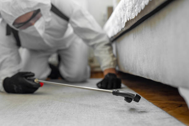Professional Termite Control technician working in Maurice, LA