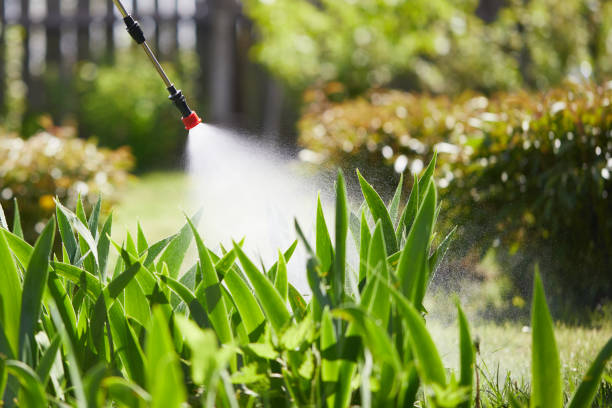 24/7 Emergency Termite Control experts in Maurice, LA