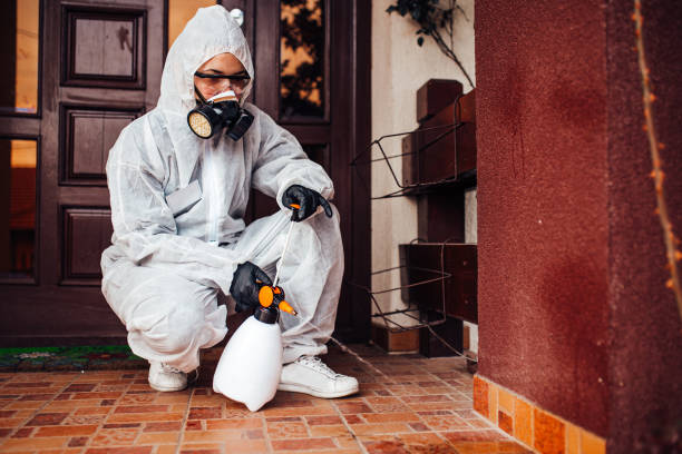 Reliable Termite Control contractor in Maurice, LA by Nex Pest Control
