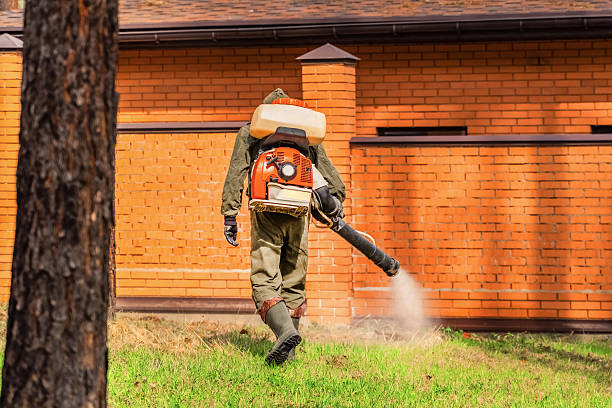 Top rated local Termite Control specialists in Maurice, LA
